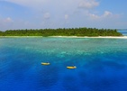 Plumeria Maldives