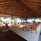 Plumeria Maldives