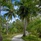 Rihiveli Maldives Resort