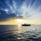 Sheraton Maldives Full Moon Resort & Spa