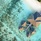 Le Meridien Maldives Resort & Spa