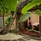 Robinson Club Maldives