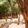 Villa Nautica (Paradise Island)