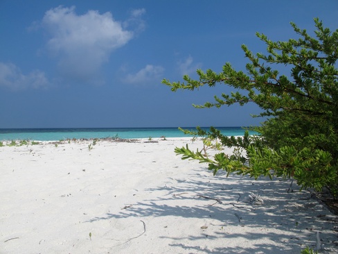 The Barefoot Eco Hotel