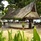 Holiday Villa Beach Resort & Spa Langkawi