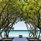One&Only Reethi Rah
