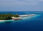Coco Bodu Hithi