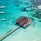Mirihi Island Resort
