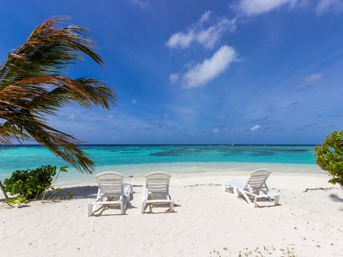 Plumeria Maldives