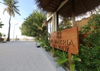 Plumeria Maldives