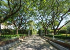 Malisa Villa Suites