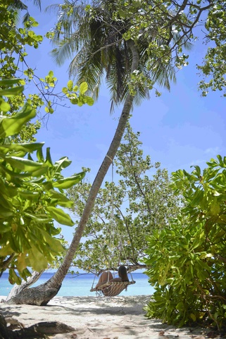Bandos Maldives Краски Острова