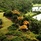 Fregate Island Private