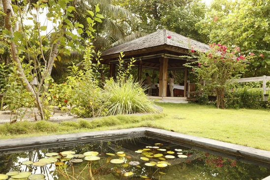 The Barefoot Eco Hotel