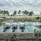 Suriya Luxury Resorts