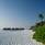 Coco Palm Dhuni Kolhu