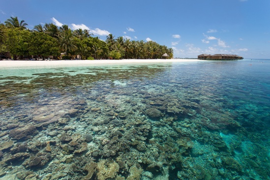 Vilamendhoo Island Resort