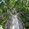 Thavorn Palm Beach Resort