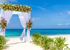 Cocoon Maldives Свадебные Церемонии В Отеле На Мальдивах