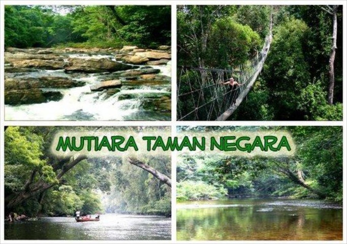 Mutiara Taman Negara Resort