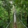Mulu Marriott Resort & Spa