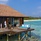 Ozen Reserve Bolifushi