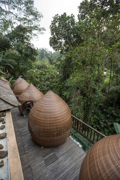 The Kayon Jungle Resort