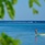 Le Cardinal Exclusive Resort