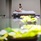 Avista Hideaway Phuket Patong Mgallery