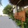 Plumeria Maldives