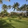 Bluebay Beach Resort & Spa