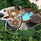Jw Marriott Maldives Resort & Spa
