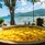 Fisherman's Cove Resort
