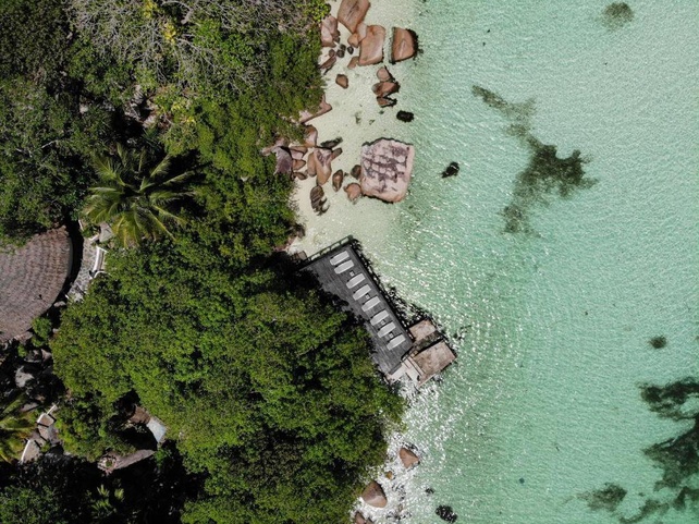 Chauve Souris Relais