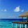 Coco Bodu Hithi