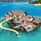 Ozen Reserve Bolifushi