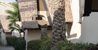Jumeirah Beach Hotel