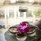 Avista Hideaway Phuket Patong Mgallery