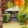 Fisherman's Cove Resort