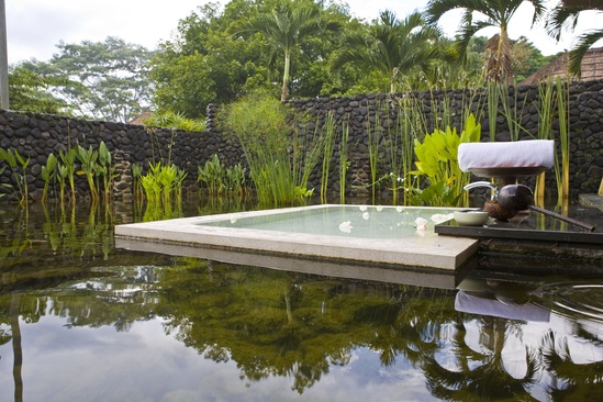 Alila Ubud