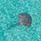 So/ Maldives