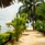 Smiles Beach