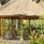 Alaya Resort Ubud