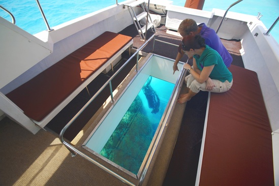 Baros Maldives Водная Вилла Со Стеклянным Дном