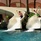 Centara Grand Beach Resort Phuket