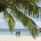 W Maldives