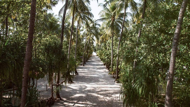 Nakai Maayafushi Resort