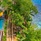Mango House Seychelles, Lxr Hotels & Resorts