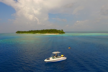 Plumeria Maldives