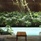 Panwaburi Beachfront Resort